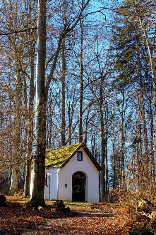 Castle nature trail