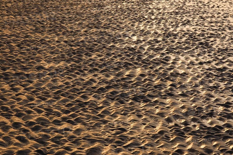 Rippeln im Watt