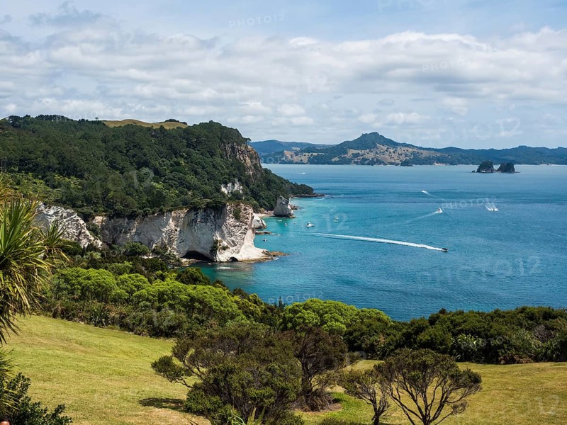Coast at Cathedral Cove Walk