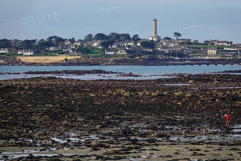 View at low tide from Roscoff to the island Ile de Batz with lighthouse