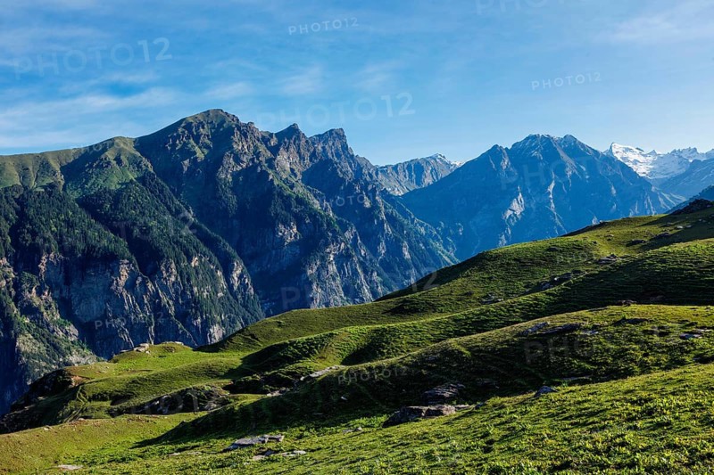 Spring meadow in Kullu valley in Himalaya mountains. Himachal Pradesh