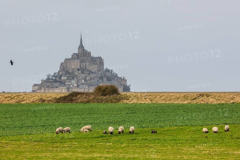 Island Mont Saint-Michel in the bay of Mont-Saint-Michel in the Wadden Sea