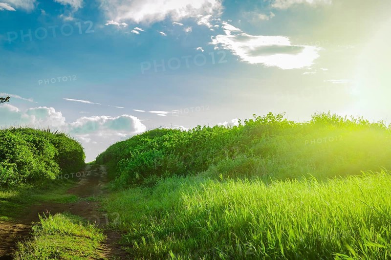 Narrow road in the countryside