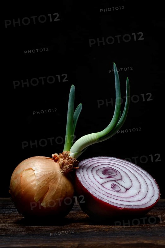 Sprouting common onion