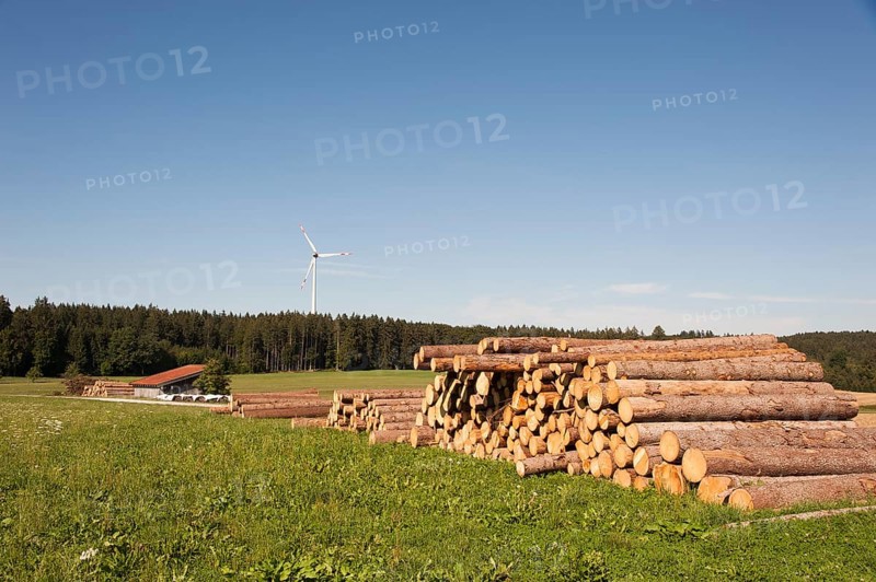 Logging