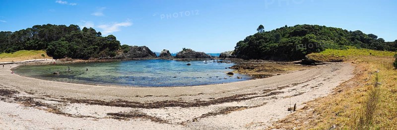 Stand in the Bay of Islands