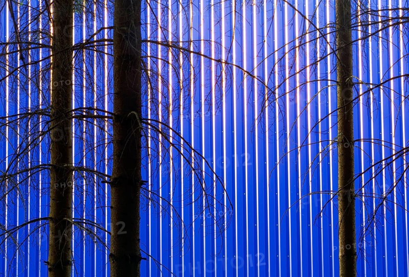 Blick durch den Wald auf eine Fassade einer blauen Fabrikshalle