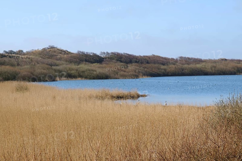 Hammersee