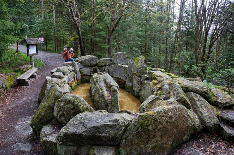 Hikers at the Kneipp treading pool on the Moorwald adventure trail