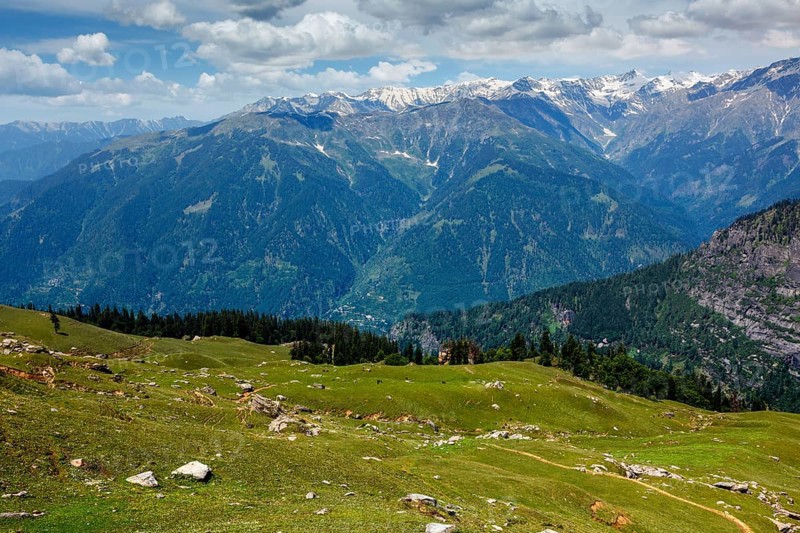 Spring meadow in Kullu valley in Himalaya mountains. Himachal Pradesh