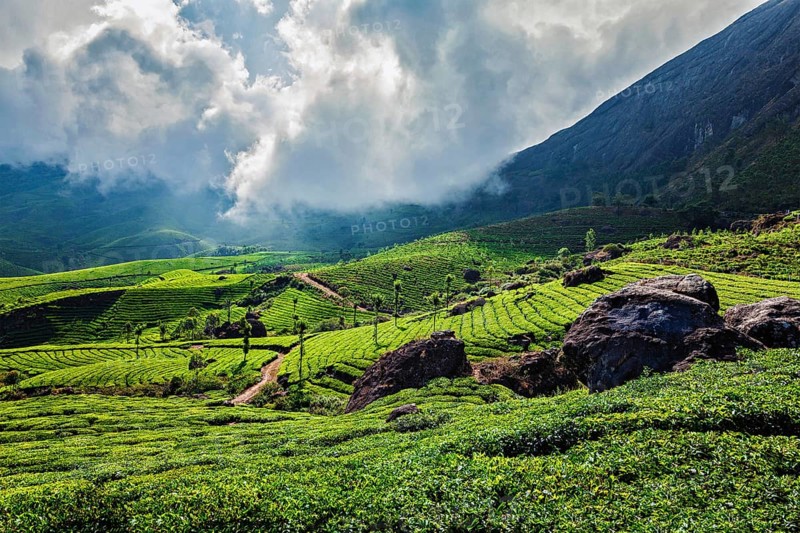 Kerala India travel background