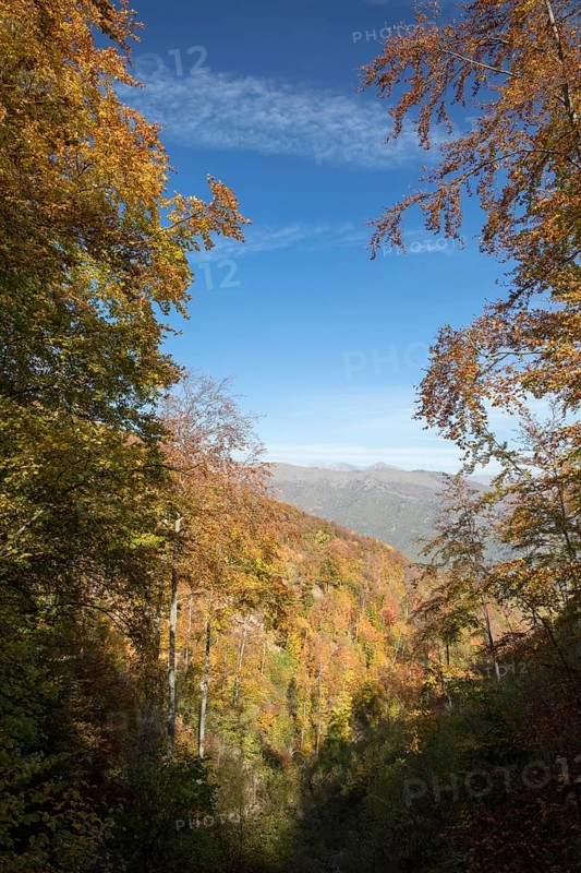 Autumn in the Ligurian Alps near Imperia