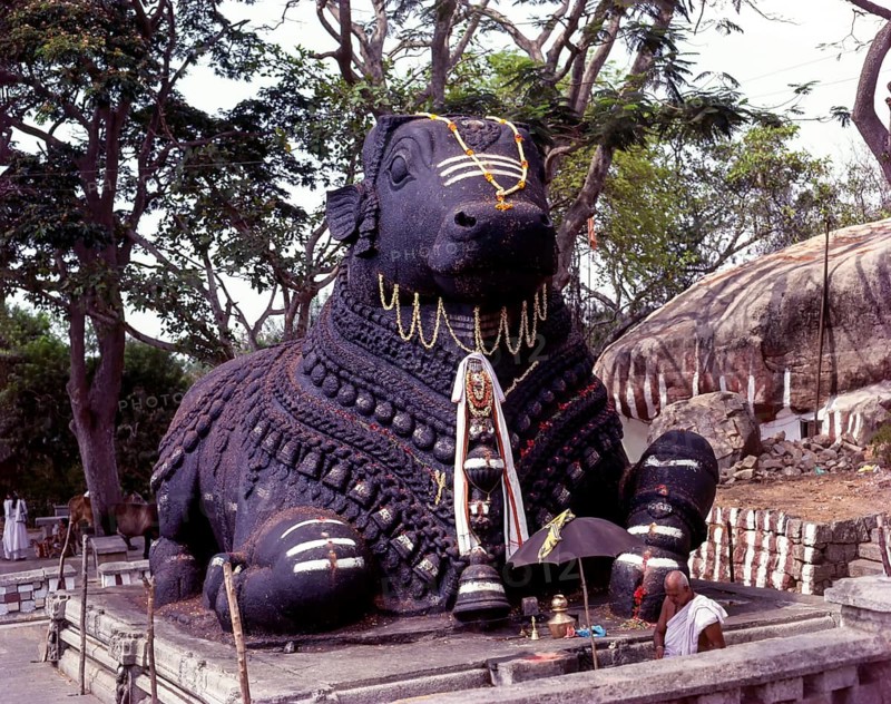 16 feet tall monolith Nandi bull in Chamundi hill