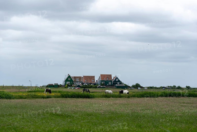 Characteristic houses