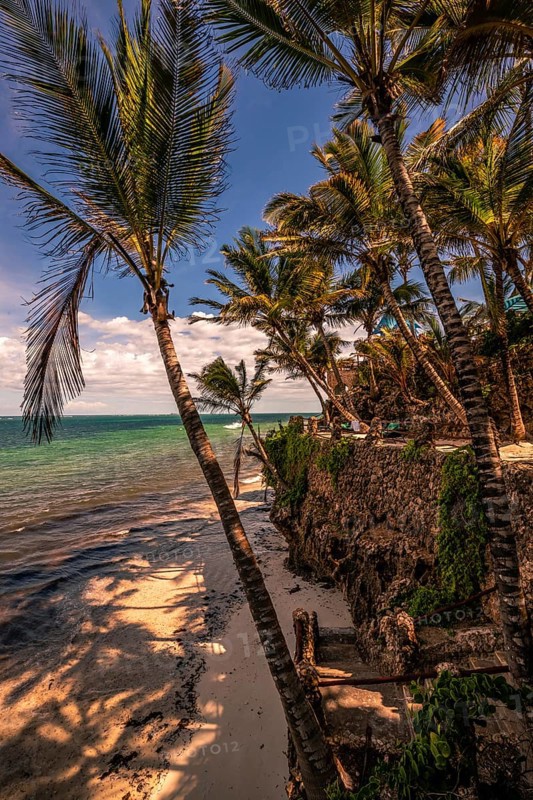 A view between palm trees and stairs to the beach and the sea. Sunset on the Indian Ocean