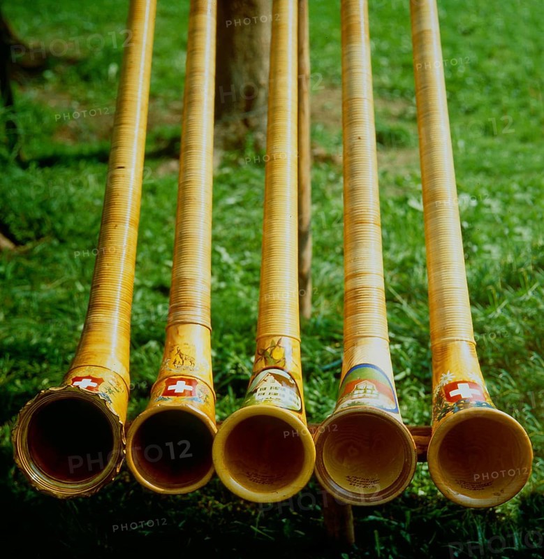 Alphorn players