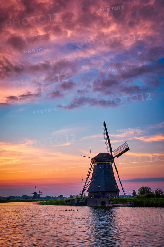 Netherlands rural landscape with windmills at famous tourist site Kinderdijk in Holland on sunset with dramatic sky