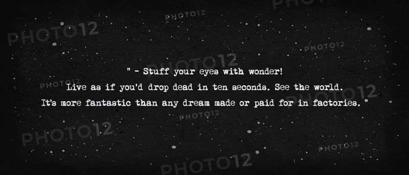 Stuff your eyes with wonder