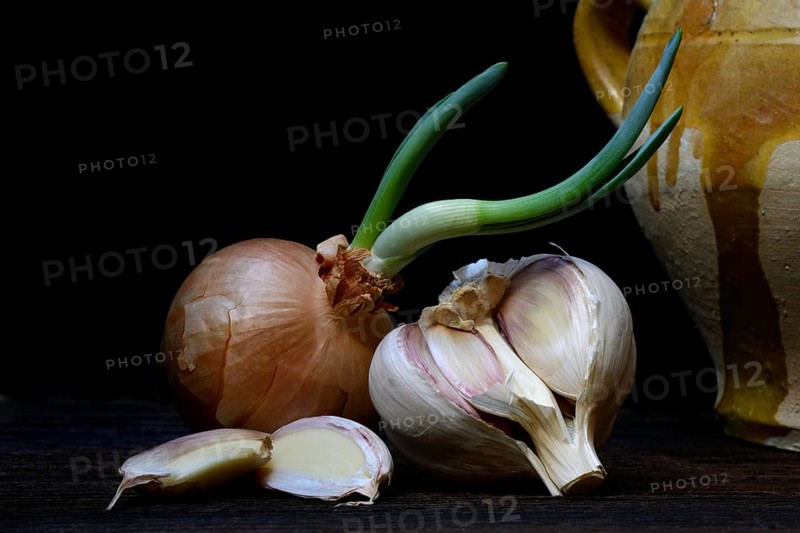 Sprouting common onion