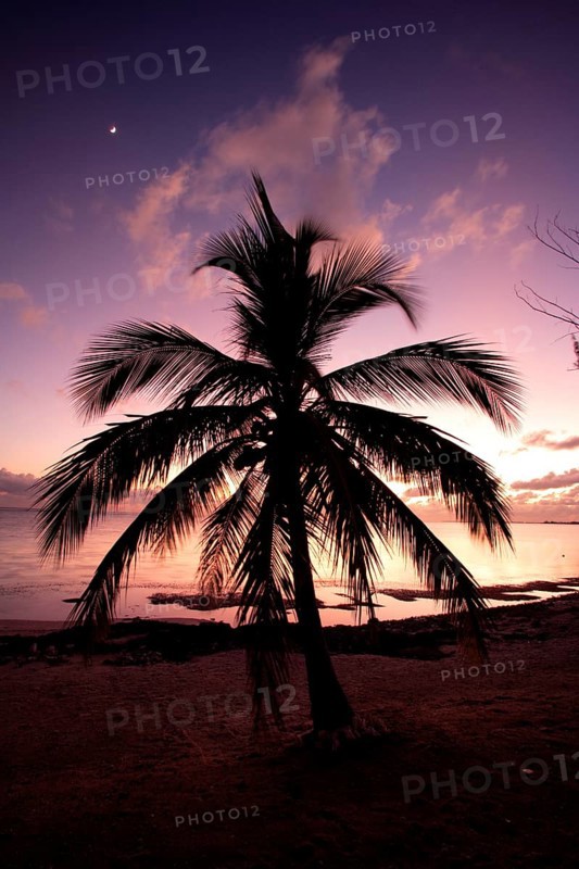 Sunset Caymans