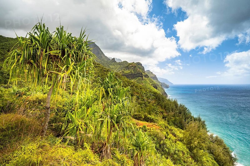 Blick vom Kalalau Trail auf die Na Pali Coast