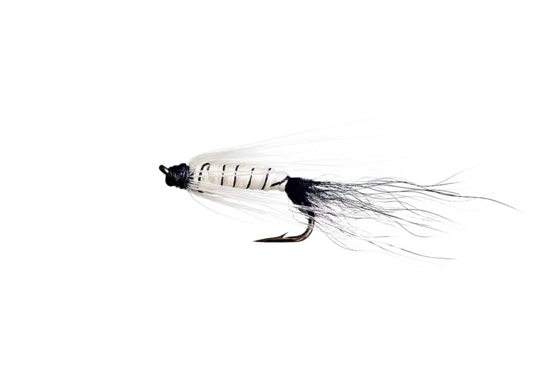 Fishing Fly isolated against a white background