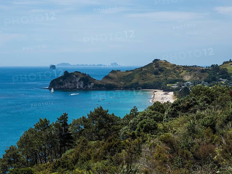 Coast at Cathedral Cove Walk