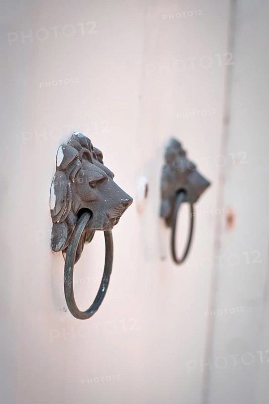Classic lion head door knob