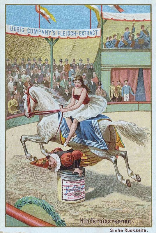 Series of horse dressage in the circus