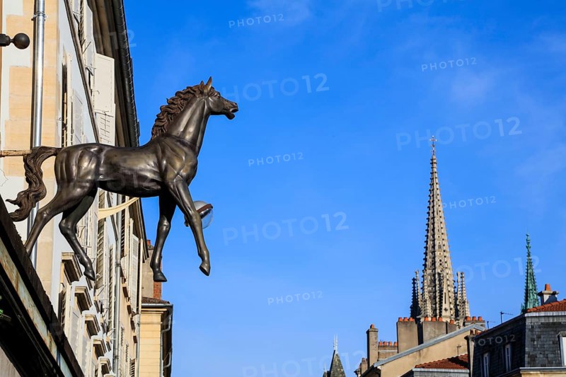 Sculpture Horse on a facade in Rue la Fayette