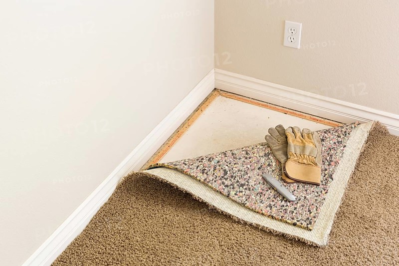 Construction gloves and utility knife on pulled back carpet and underlay in room