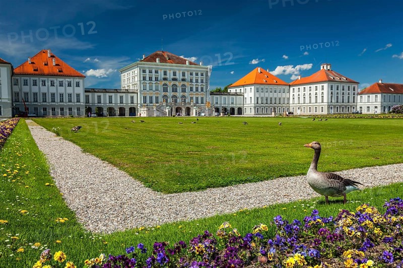 Goose in garden lawn in front of the Nymphenburg Palace