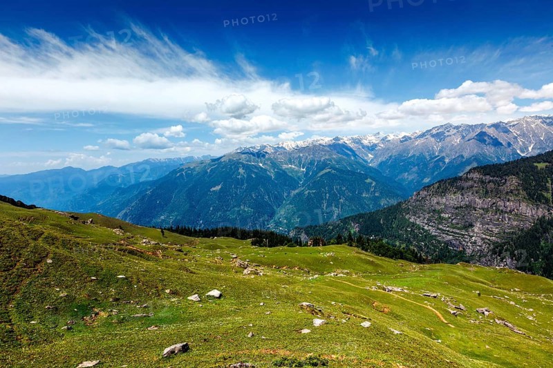 Spring meadow in Kullu valley in Himalaya mountains. Himachal Pradesh