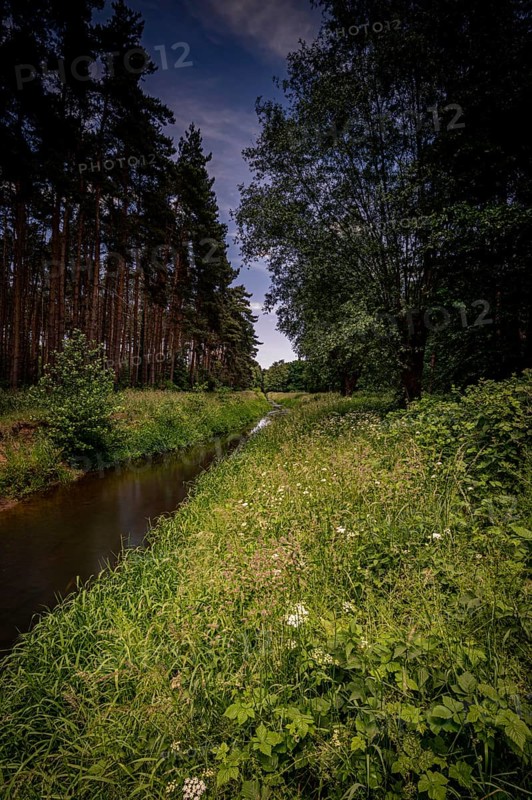 Long exposure of the river Wietze in Langenhagen in the region of Hannover