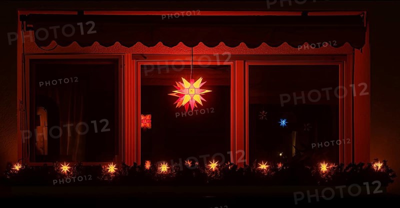 Poinsettia hanging luminously in a window at night