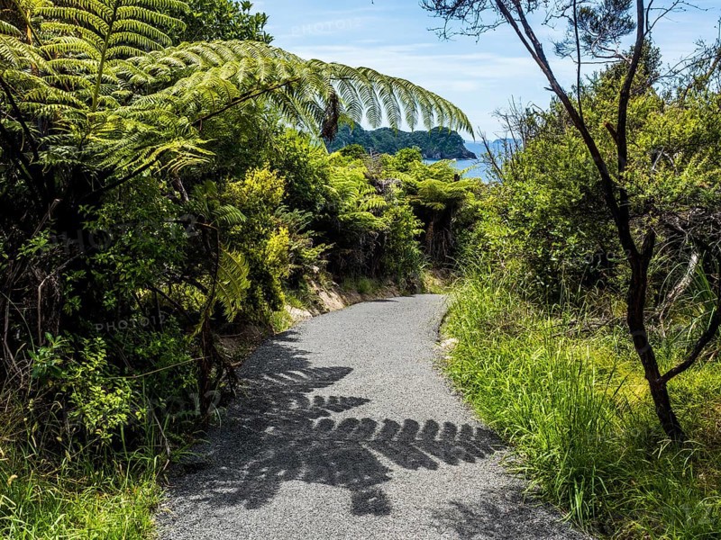 Cathedral Cove Walk