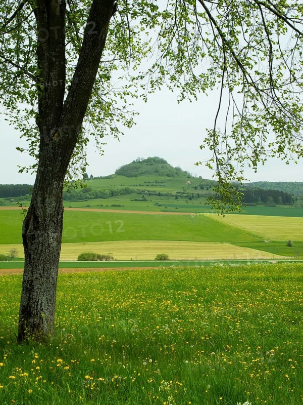 View of Hohenkarpfen