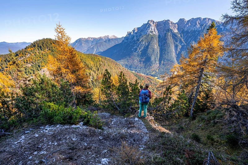 Hikers on a hiking trail