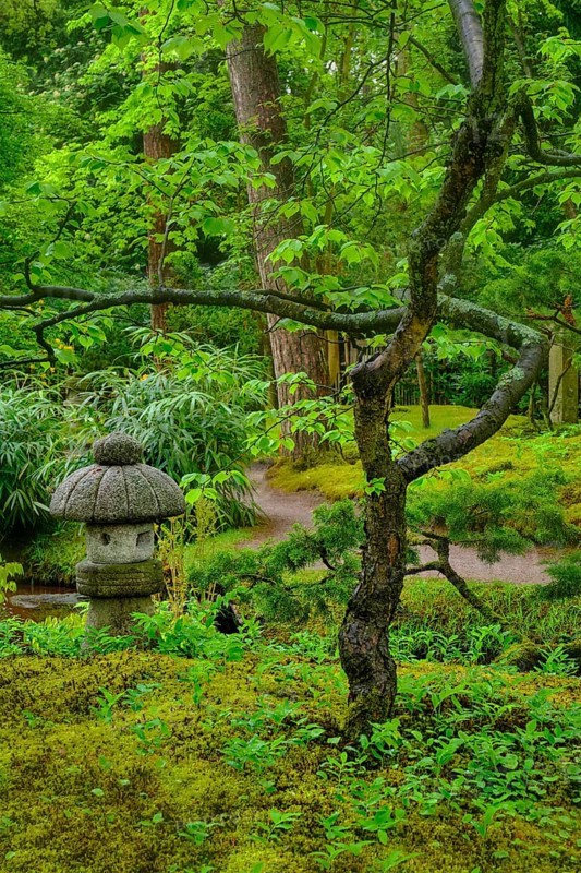 Stone lantern in Japanese garden