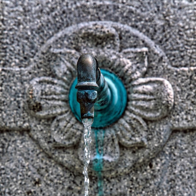 Close-up