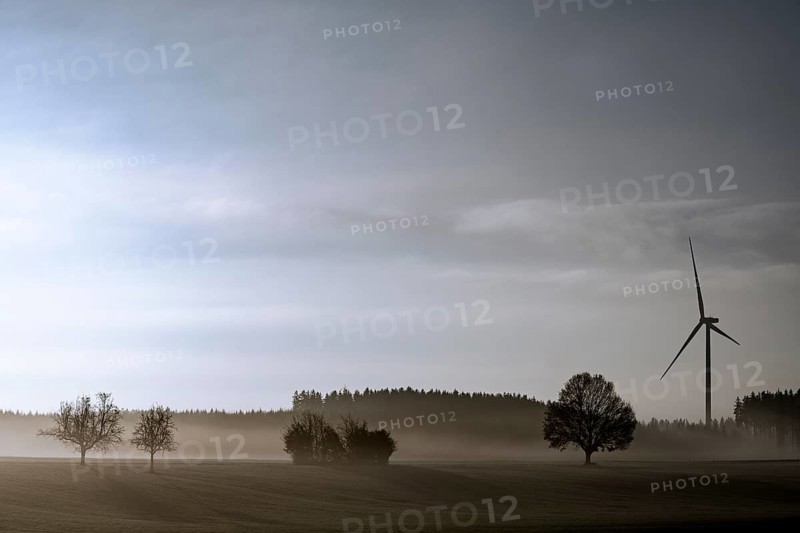 Wiesenlandschaft mit Bodennebel und Windrad
