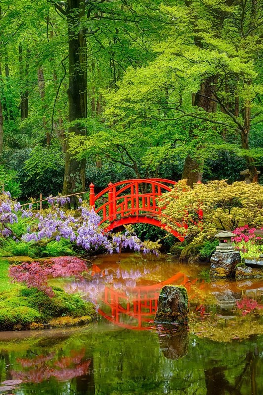 Small bridge in Japanese garden