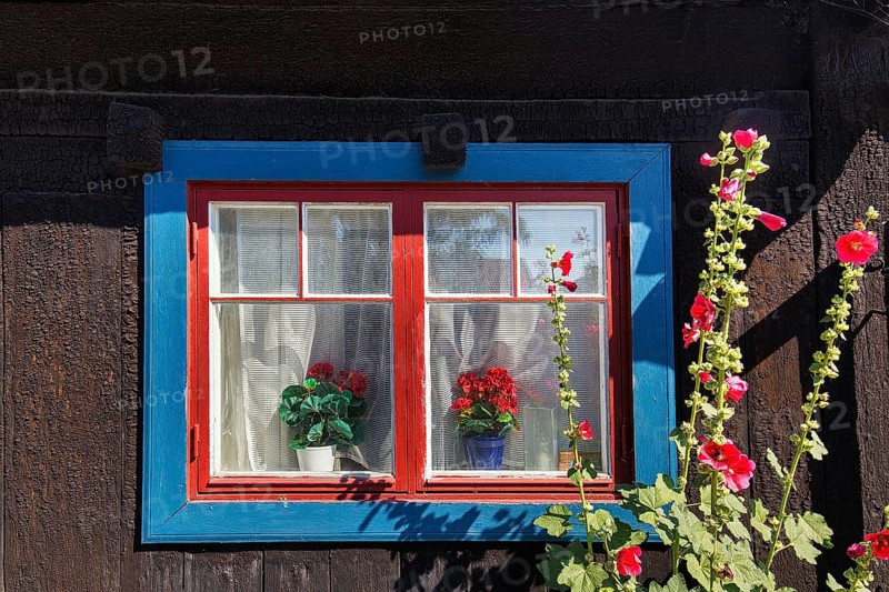 Traditional wooden house
