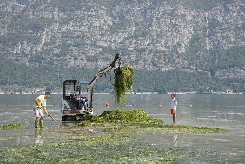 Weed removal from the lake shore near the tourist complex with Bobcat 322