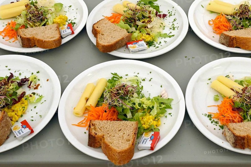 Mixed salad with sliced cheese and sprouts