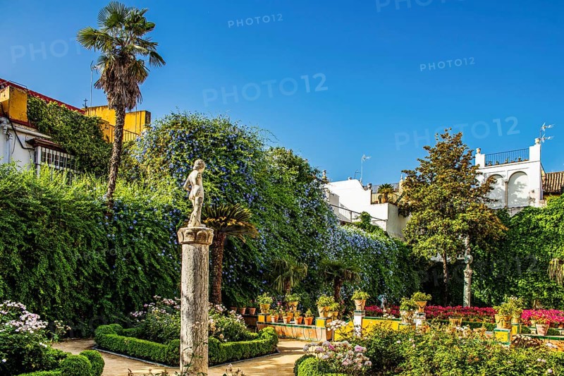 Garden with exotic plants