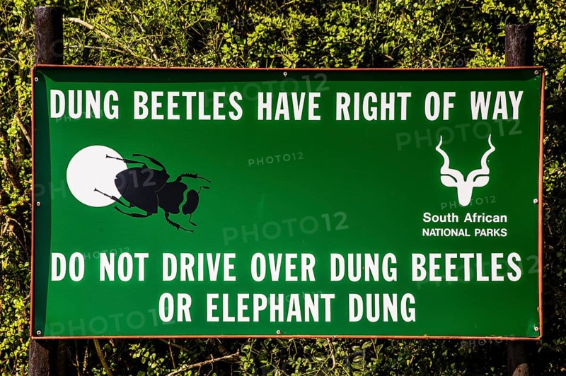 Sign on pill bugs