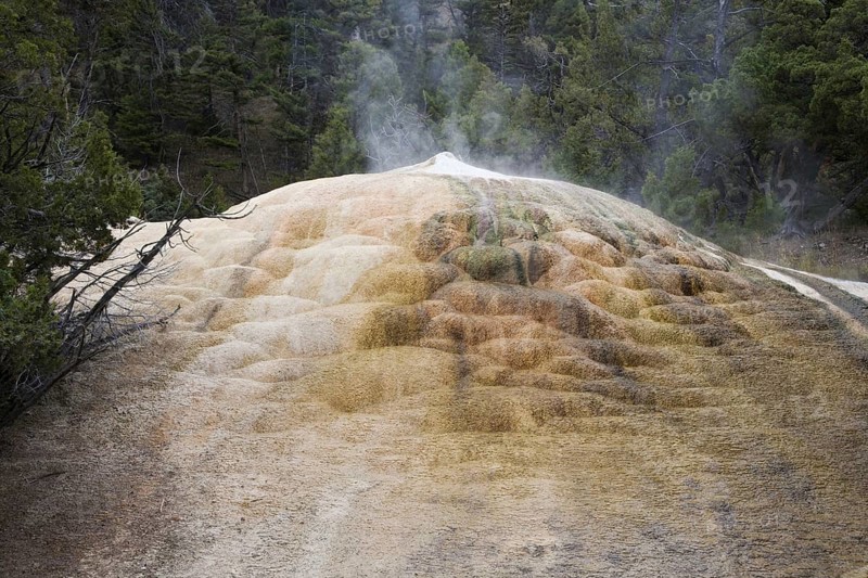 Mineral occurrences at Hotspring