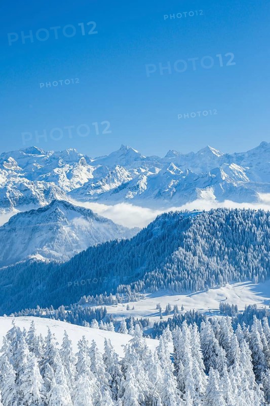 Aussicht von der Rigi