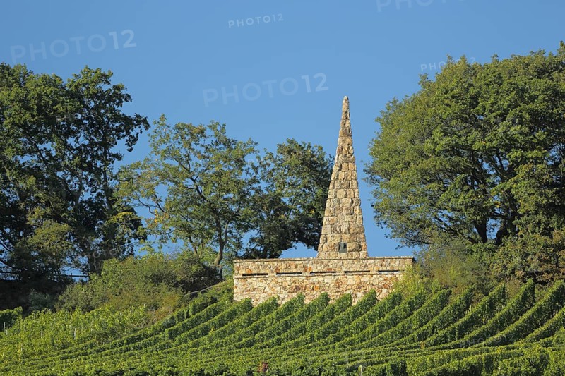 Goethe stone with vines in Frauenstein